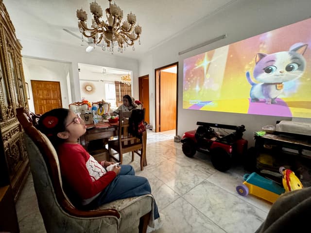 Super kitties in the afternoon