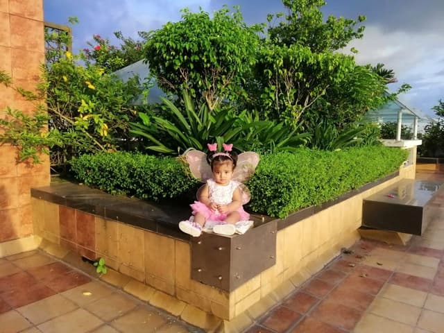 Lttle Fairy