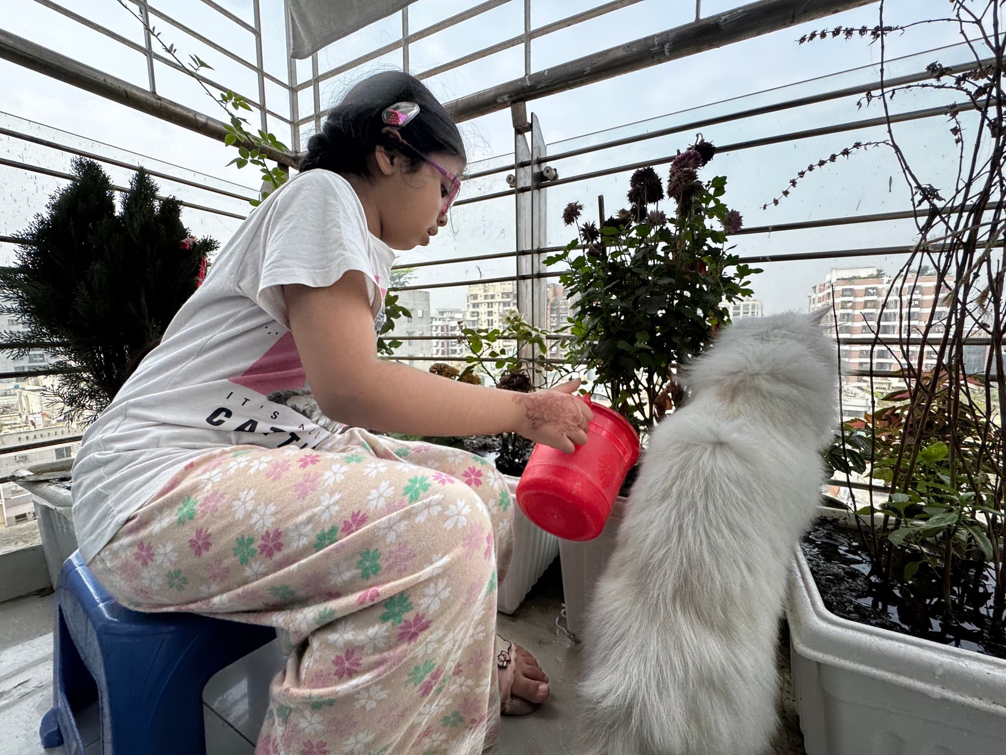 Taking care of the plants 🍀