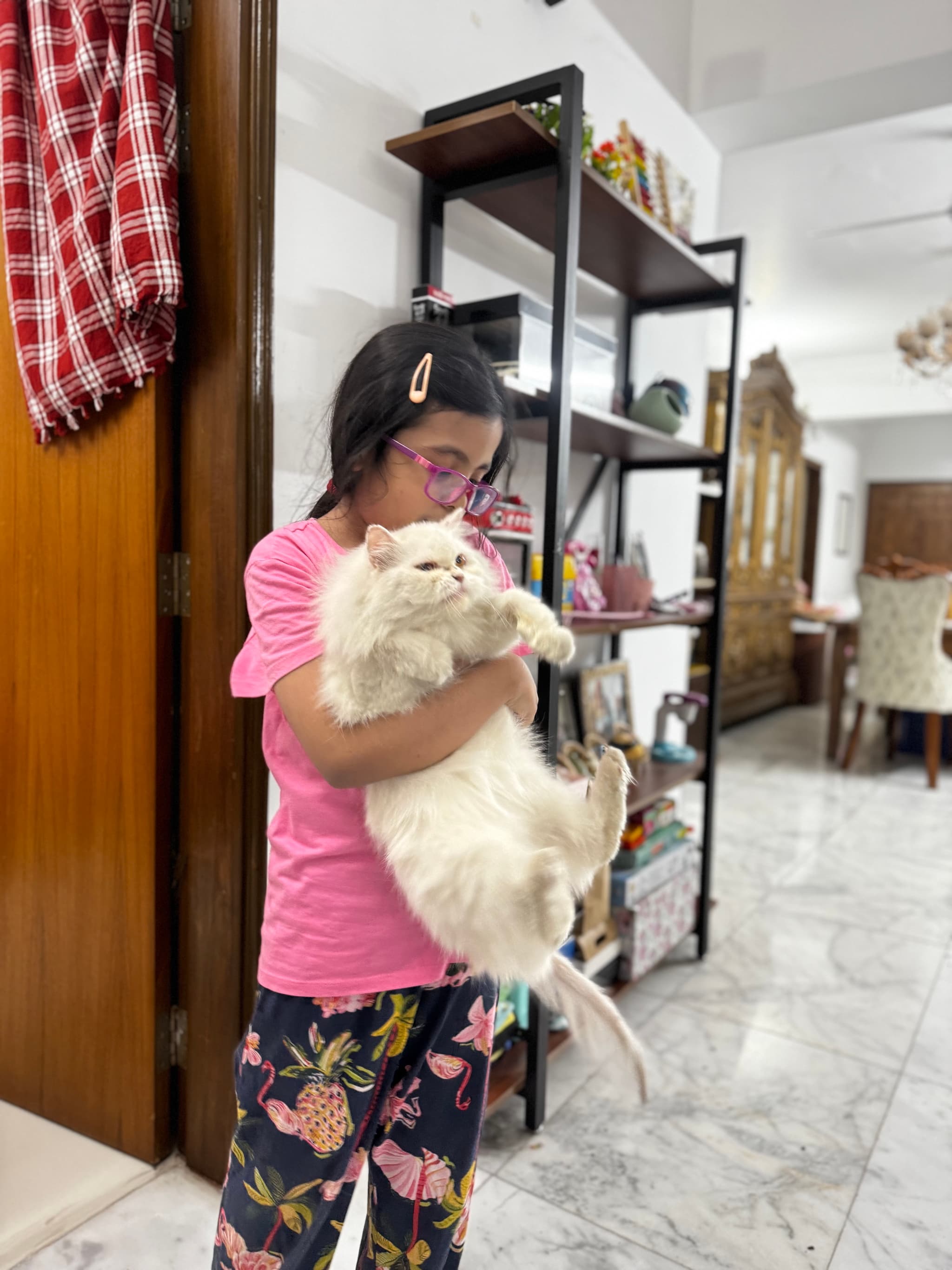 The princess and the snowflake