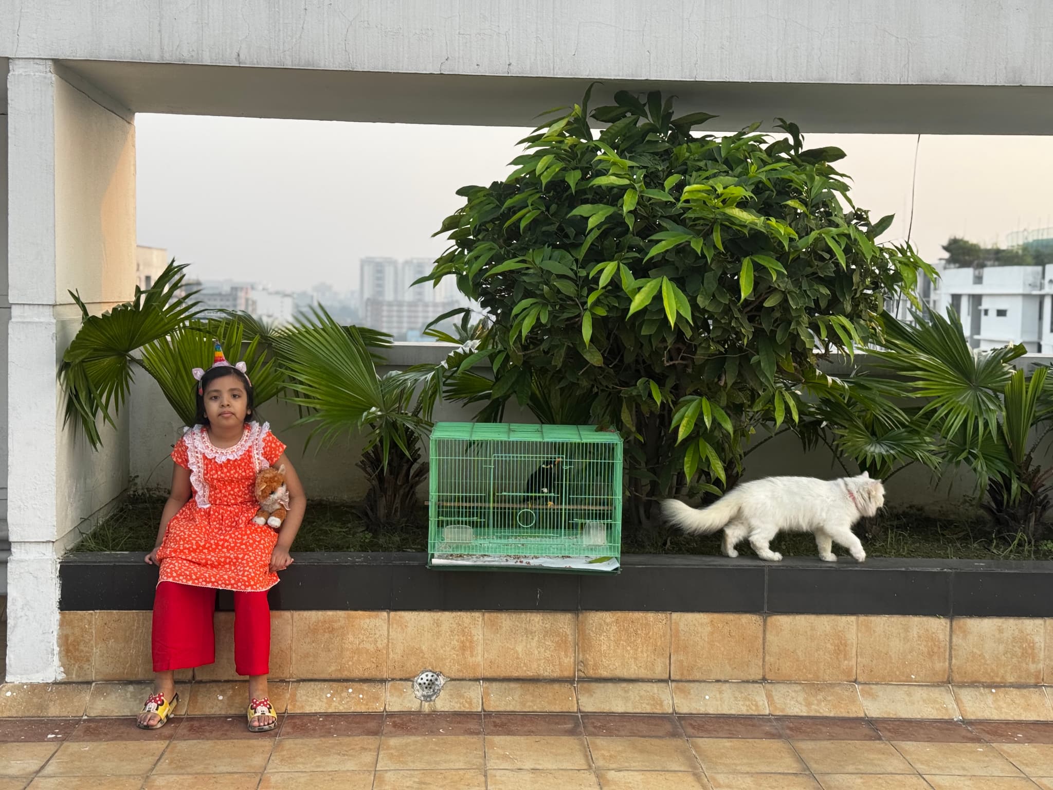 My myna, my cat and myself in the afternoon