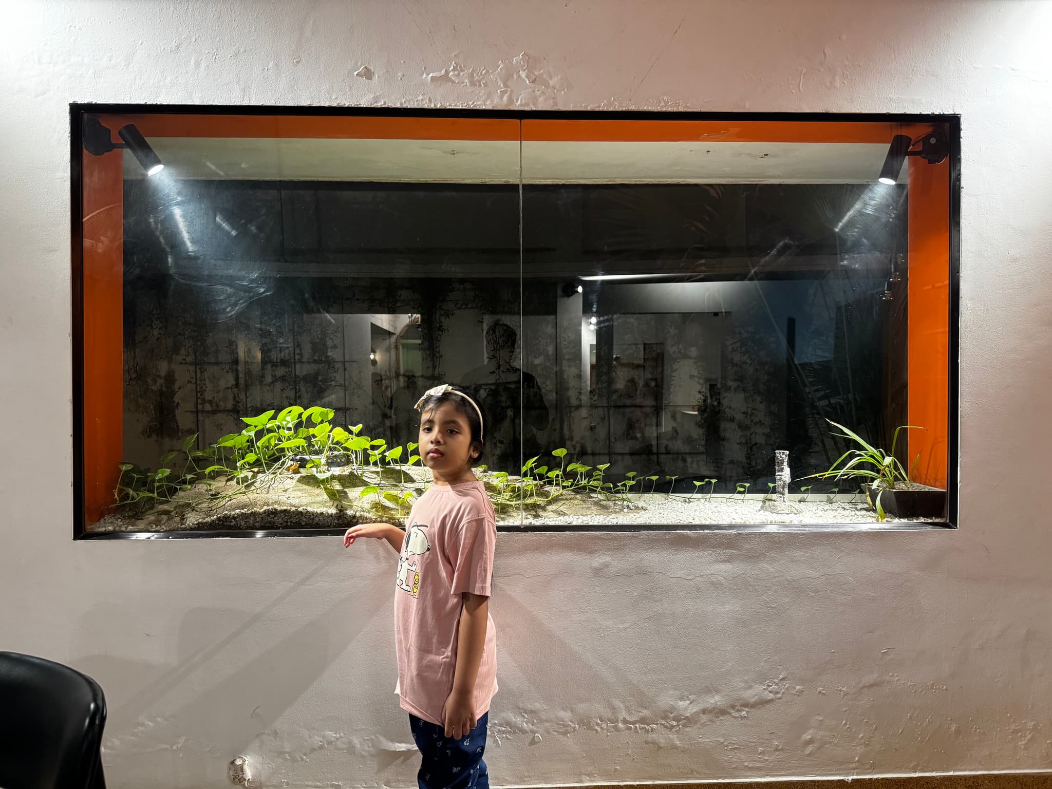 Plant window 🌺🌷🍀